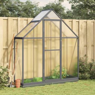 Anthracite Greenhouse with Base Frame - 169x58x202 cm