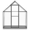 Anthracite Greenhouse with Base Frame - 169x58x202 cm