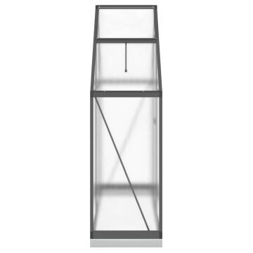 Anthracite Greenhouse with Base Frame - 169x58x202 cm