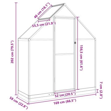 Anthracite Greenhouse with Base Frame - 169x58x202 cm