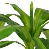 Artificial Dracaena Plant with Pot 100 cm - Lifelike Greenery