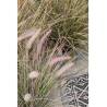 Emerald Artificial Pennisetum Grass - 71 cm | Hipomarket UK