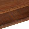 Rectangular Solid Wood Reclaimed Table Top | 140x50 cm