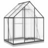 Anthracite Greenhouse with Base Frame - 169x114x202 cm