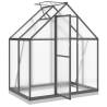 Anthracite Greenhouse with Base Frame - 169x114x202 cm