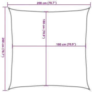 Light Grey Sunshade Sail 2x2 m | Durable HDPE Protection