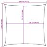 Light Grey Sunshade Sail 2x2 m | Durable HDPE Protection