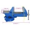 Bench Vise Blue 100 mm Cast Iron - Essential Workshop Tool