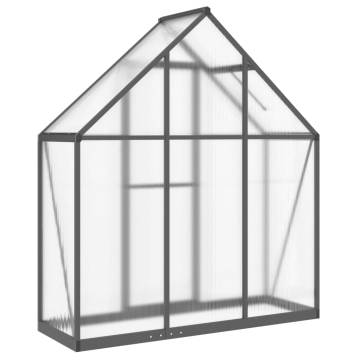 Anthracite Greenhouse with Base Frame - 169x58x195 cm