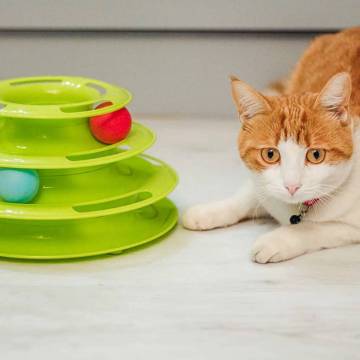 Ferplast Cat Toy Twister - Fun & Active Play for Cats | HipoMarket