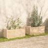 Garden Planters 2 pcs 100x50x50 cm Solid Pinewood - HipoMarket