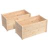 Garden Planters 2 pcs 100x50x50 cm Solid Pinewood - HipoMarket