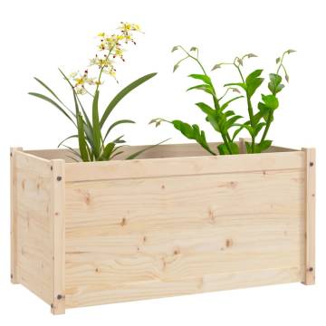 Garden Planters 2 pcs 100x50x50 cm Solid Pinewood - HipoMarket