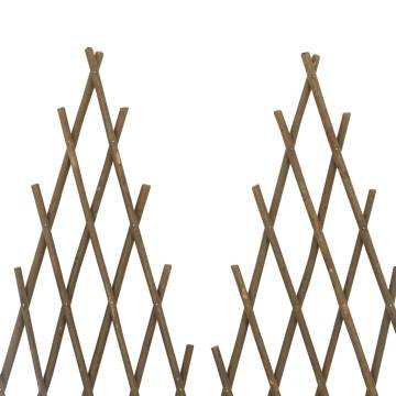 Garden Trellis Fences Set - 5 pcs 170x75 cm Willow