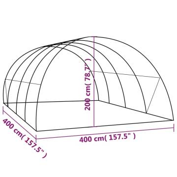 Spacious Greenhouse 16 m² - Protect Your Plants