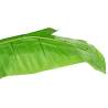 Lifelike Artificial Banana Tree with Pot - 300 cm