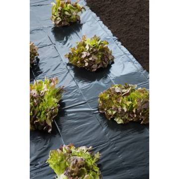 Nature Cover Foil 3x4 m 100µ Black - Garden Essential