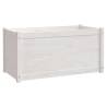 Buy Garden Planter White 100x50 cm | Solid Pinewood