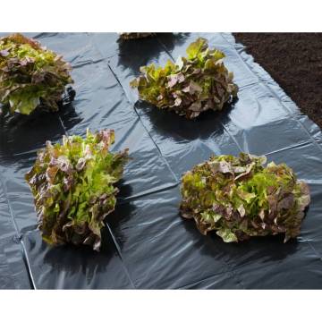 Nature Cover Foil 4x6 m 100µ Black - Quality Soil Protection