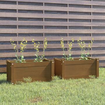 Garden Planters 2 pcs Honey Brown | Durable Pinewood | HipoMarket