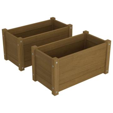 Garden Planters 2 pcs Honey Brown | Durable Pinewood | HipoMarket