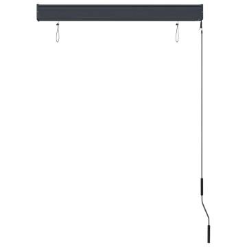 Outdoor Roller Blind 100x250 cm - Anthracite Shade for Patios