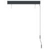 Outdoor Roller Blind 100x250 cm - Anthracite Shade for Patios