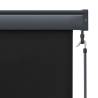 Outdoor Roller Blind 100x250 cm - Anthracite Shade for Patios