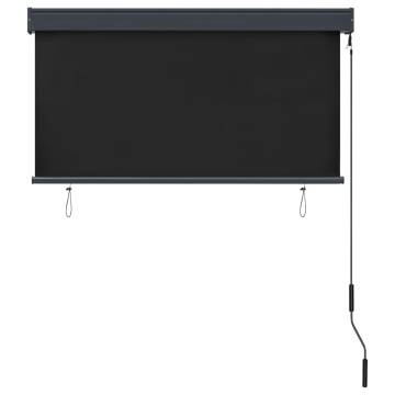 Outdoor Roller Blind 120x250 cm Anthracite - HipoMarket