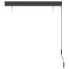 Outdoor Roller Blind 120x250 cm Anthracite - HipoMarket