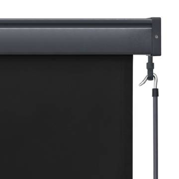 Outdoor Roller Blind 120x250 cm Anthracite - HipoMarket