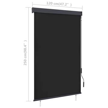 Outdoor Roller Blind 120x250 cm Anthracite - HipoMarket