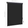 Outdoor Roller Blind 140x250 cm Anthracite - HipoMarket