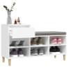 Elegant White Shoe Cabinet - 102x36x60 cm | HipoMarket