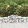 Arched Gabion Baskets 14 pcs 200x30x4060 cm Galvanised Iron Size 200 x 30 x 40/60 cm Quantity in Package 14 