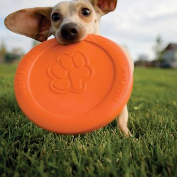 Zogoflex Dog Frisbee Zisc Size L Orange - Durable & Safe Fetch Fun