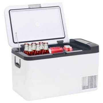 Cool Box with Handle - 25L Black & White Portable Cooler