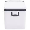 Cool Box with Handle - 25L Black & White Portable Cooler