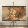 Projection Screen 90" 16:9 Size 90" 16:9 