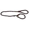 Jack and Vanilla Brown Dog Slip Leash - 140 cm Walkabout