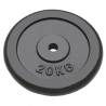 Weight Plates 2 pcs 2x20 kg Cast Iron - High Quality Strength Training