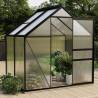 Greenhouse Anthracite Aluminium 2.47 m² - Ideal for Hobby Gardening