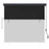 Outdoor Roller Blind 170x250 cm Anthracite - HipoMarket