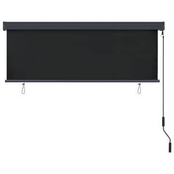 Outdoor Roller Blind 170x250 cm Anthracite - HipoMarket