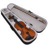 Violin Full Set with Bow & Chin Rest - Dark Wood 44