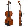 Violin Full Set with Bow & Chin Rest - Dark Wood 44