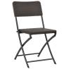 Folding Garden Chairs 2 pcs HDPE & Steel - Brown