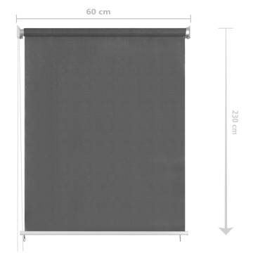 Outdoor Roller Blind 60x230 cm Anthracite | Hipomarket