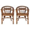 Outdoor Rattan Chairs - 2 pcs Natural Brown | Hipo Market