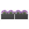 Garden Raised Bed 300x50x54 cm WPC Grey - Durable & Stylish